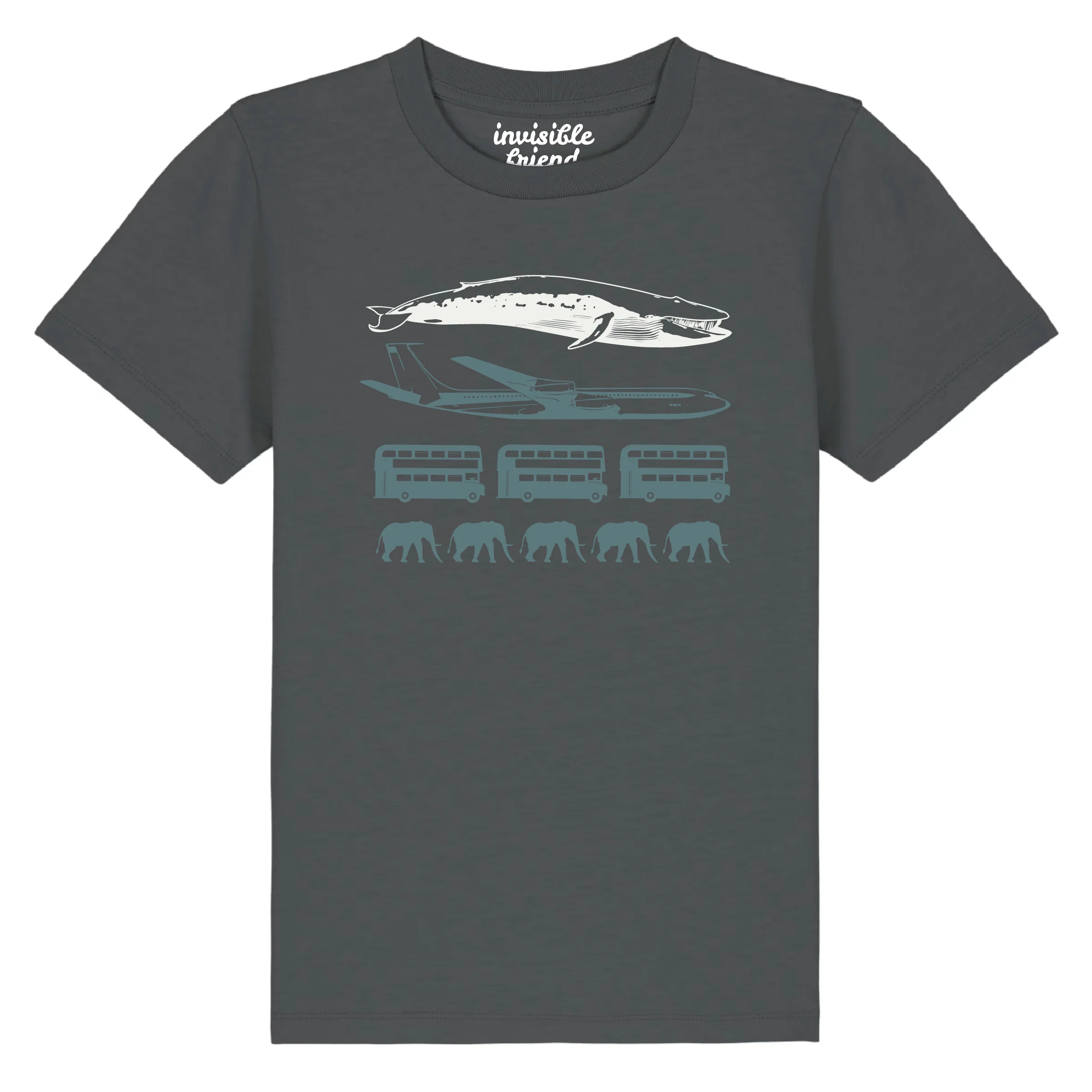 Blue Whale Size T Shirt - Kids - Image 2